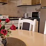 Sonja Ρόβινι