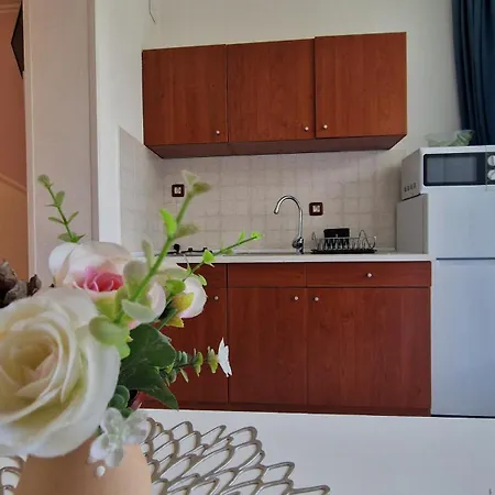 Sonja Apartman Rovinj