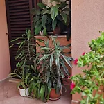 Apartman Sonja *